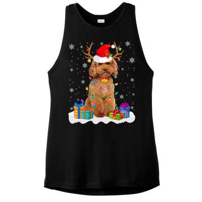 Cute Poodle Dog Christmas Lights Santa Hat Xmas Holidays Gift Ladies PosiCharge Tri-Blend Wicking Tank