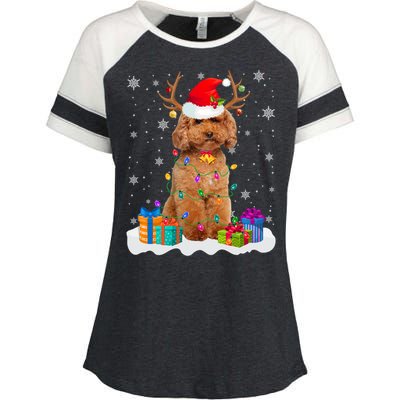 Cute Poodle Dog Christmas Lights Santa Hat Xmas Holidays Gift Enza Ladies Jersey Colorblock Tee