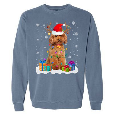 Cute Poodle Dog Christmas Lights Santa Hat Xmas Holidays Gift Garment-Dyed Sweatshirt