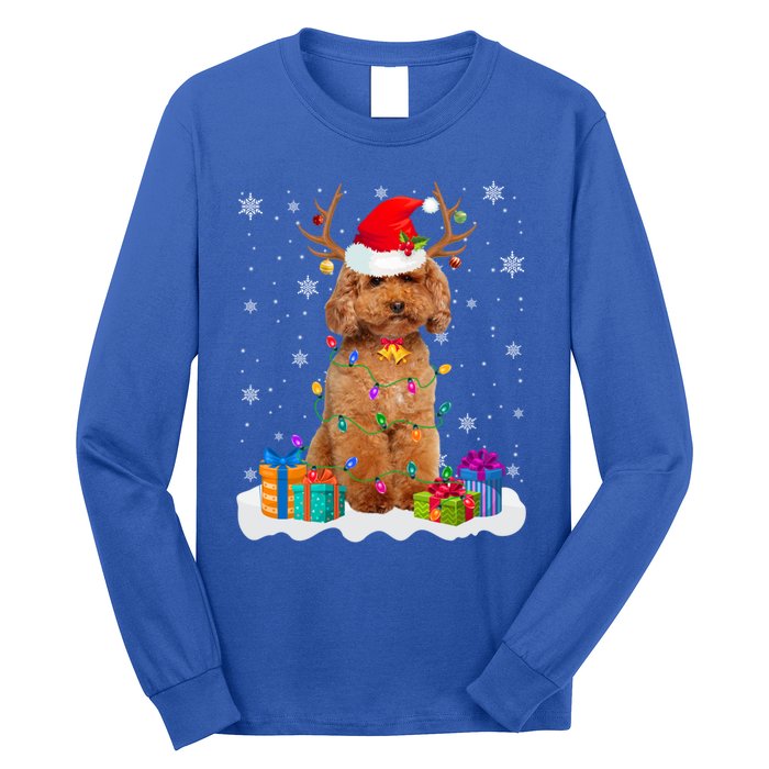 Cute Poodle Dog Christmas Lights Santa Hat Xmas Holidays Gift Long Sleeve Shirt