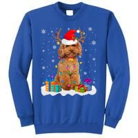 Cute Poodle Dog Christmas Lights Santa Hat Xmas Holidays Gift Sweatshirt