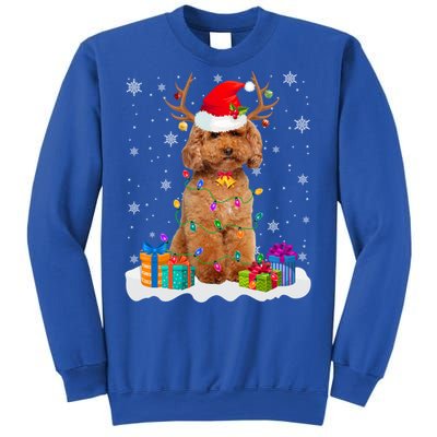 Cute Poodle Dog Christmas Lights Santa Hat Xmas Holidays Gift Sweatshirt