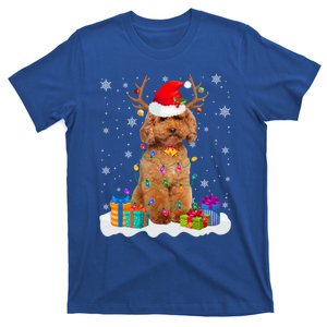 Cute Poodle Dog Christmas Lights Santa Hat Xmas Holidays Gift T-Shirt