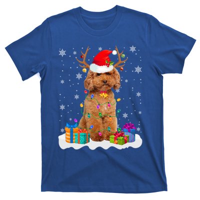 Cute Poodle Dog Christmas Lights Santa Hat Xmas Holidays Gift T-Shirt