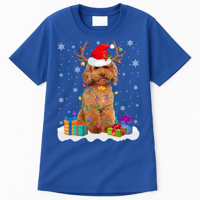 Cute Poodle Dog Christmas Lights Santa Hat Xmas Holidays Gift Tall T-Shirt