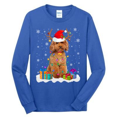 Cute Poodle Dog Christmas Lights Santa Hat Xmas Holidays Gift Tall Long Sleeve T-Shirt