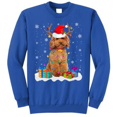 Cute Poodle Dog Christmas Lights Santa Hat Xmas Holidays Gift Tall Sweatshirt