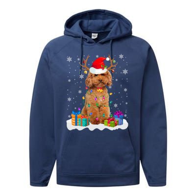 Cute Poodle Dog Christmas Lights Santa Hat Xmas Holidays Gift Performance Fleece Hoodie