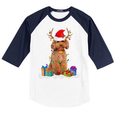 Cute Poodle Dog Christmas Lights Santa Hat Xmas Holidays Gift Baseball Sleeve Shirt