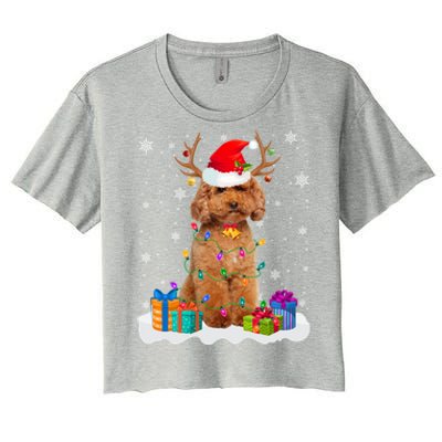 Cute Poodle Dog Christmas Lights Santa Hat Xmas Holidays Gift Women's Crop Top Tee