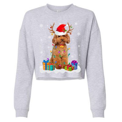 Cute Poodle Dog Christmas Lights Santa Hat Xmas Holidays Gift Cropped Pullover Crew