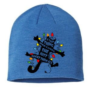 Cute Pussycat Funny Christmas Lights Cat Lovers Gift Sustainable Beanie