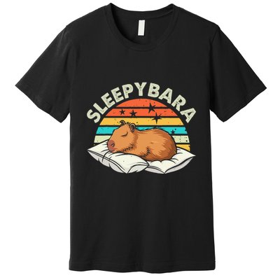 Capybara Pajamas Funny Capybara Costume Gift Premium T-Shirt