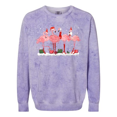 Christmas Pink Flamingo Santa Hat Xmas Lights Pjs Cool Gift Colorblast Crewneck Sweatshirt