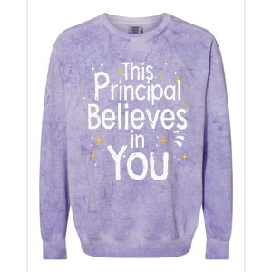 Cute Principal For Men Women School Head Principal Colorblast Crewneck Sweatshirt