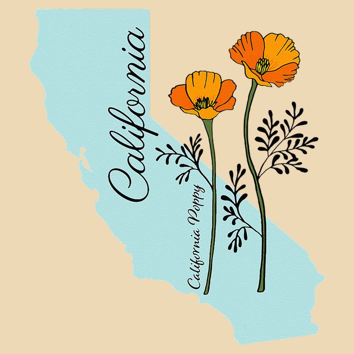 California Poppy Flower Drawstring Bag