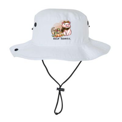 Cute Pig Feelin' Thankful's Gift For Thanksgiving Legacy Cool Fit Booney Bucket Hat