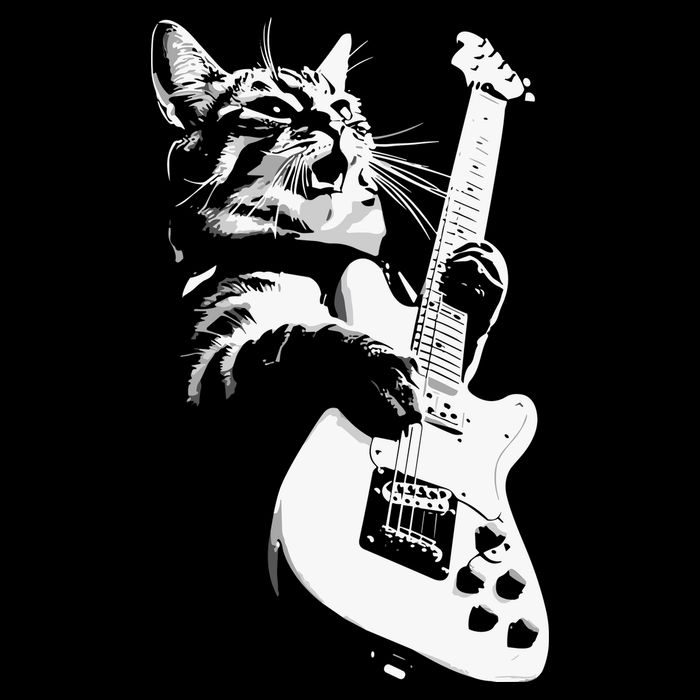 Cat Playing Guitar Women's Crop Top Tee