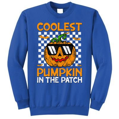 Coolest Pumpkin In The Patch Outfit Halloween Tall Sweatshirt