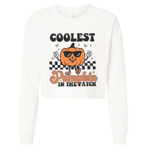 Coolest Pumpkin In The Patch Cropped Pullover Crew