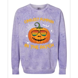 Coolest Pumpkin In The Patch Funny Pumpkin Sunglasses Gift Colorblast Crewneck Sweatshirt