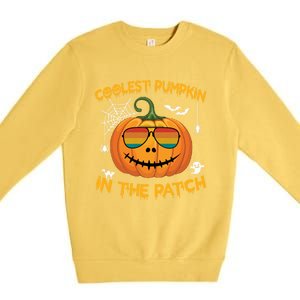 Coolest Pumpkin In The Patch Funny Pumpkin Sunglasses Gift Premium Crewneck Sweatshirt