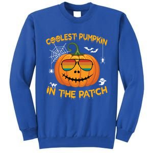 Coolest Pumpkin In The Patch Funny Pumpkin Sunglasses Gift Tall Sweatshirt