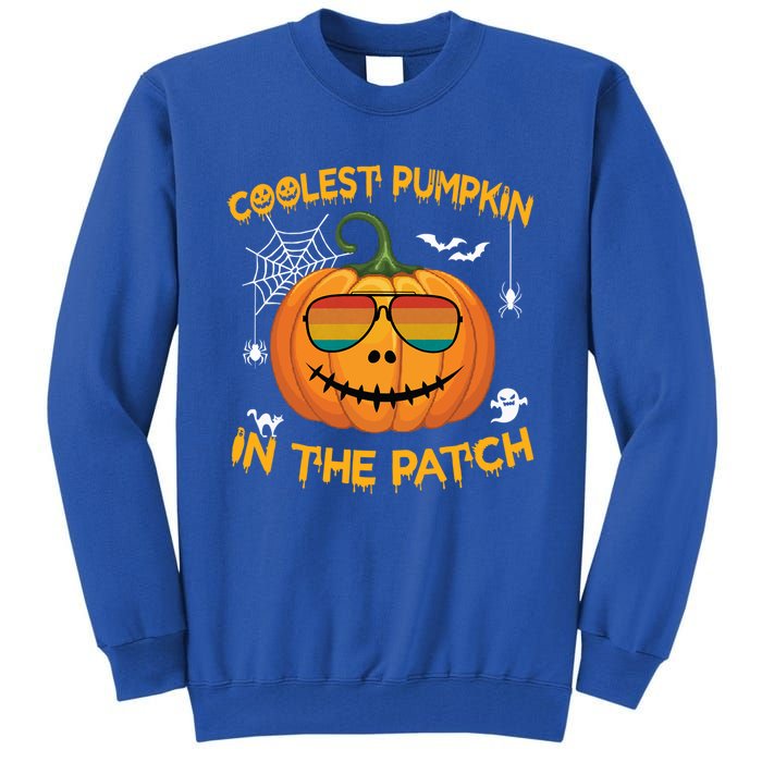 Coolest Pumpkin In The Patch Funny Pumpkin Sunglasses Gift Tall Sweatshirt