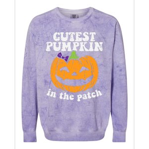 Cutest Pumpkin In The Patch Cute Halloween Girl Colorblast Crewneck Sweatshirt