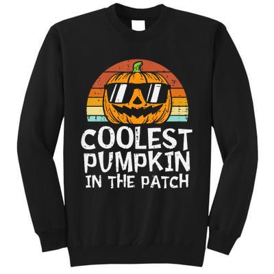 Coolest Pumpkin In The Patch Halloween Tall Sweatshirt