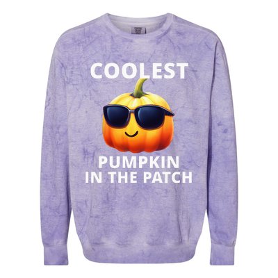 Coolest Pumpkin In The Patch Halloween Kids Colorblast Crewneck Sweatshirt