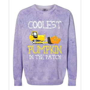 Cutest Pumpkin In The Patch Funny Halloween Thanksgiving Colorblast Crewneck Sweatshirt