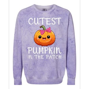 Cutest Pumpkin In The Patch Funny Halloween Thanksgiving Colorblast Crewneck Sweatshirt