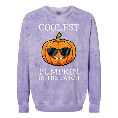 Coolest Pumpkin In The Patch Halloween Colorblast Crewneck Sweatshirt