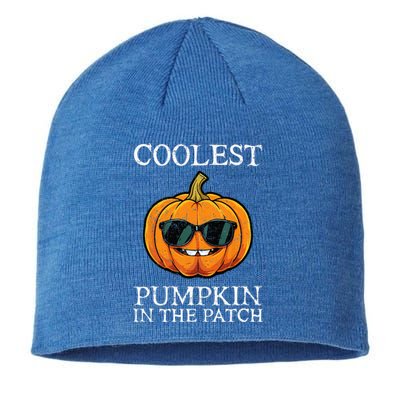 Coolest Pumpkin In The Patch Halloween Sustainable Beanie