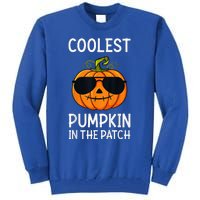 Coolest Pumpkin In The Patch Halloween Tall Sweatshirt