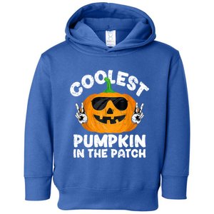 Coolest Pumpkin In The Patch Funny S Halloween Gift Toddler Hoodie