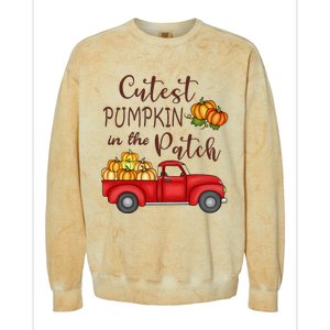 Cutest Pumpkin in The Patch Fall Halloween Colorblast Crewneck Sweatshirt