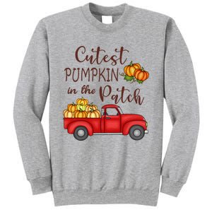 Cutest Pumpkin in The Patch Fall Halloween Sweatshirt