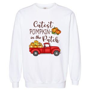 Cutest Pumpkin in The Patch Fall Halloween Garment-Dyed Sweatshirt