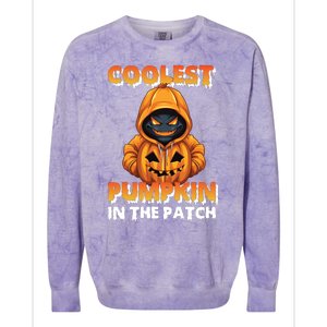 Coolest Pumpkin In The Patch Halloween Kids Design Colorblast Crewneck Sweatshirt