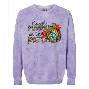 Cutest Pumpkin In The Patch Leopard Pumpkin Thanksgiving Cool Gift Colorblast Crewneck Sweatshirt