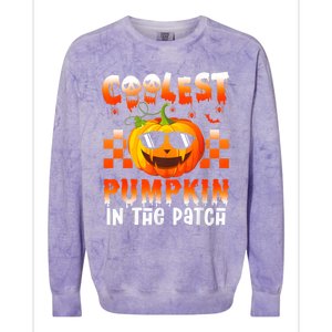 Coolest Pumpkin In The Patch Halloween Gift Colorblast Crewneck Sweatshirt