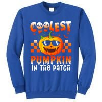 Coolest Pumpkin In The Patch Halloween Gift Tall Sweatshirt