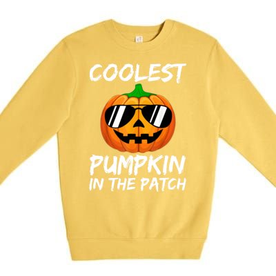 Coolest Pumpkin In The Patch Halloween Pumpkin Premium Crewneck Sweatshirt