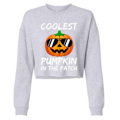 Coolest Pumpkin In The Patch Halloween Pumpkin Cropped Pullover Crew