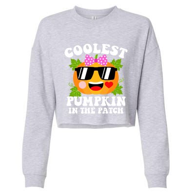 Coolest Pumpkin In The Patch Gift Funny Halloween Costume Gift Cropped Pullover Crew