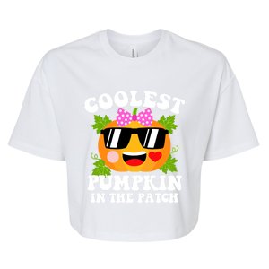 Coolest Pumpkin In The Patch Gift Funny Halloween Costume Gift Bella+Canvas Jersey Crop Tee