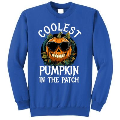 Coolest Pumpkin In The Patch Gift Sweatshirt