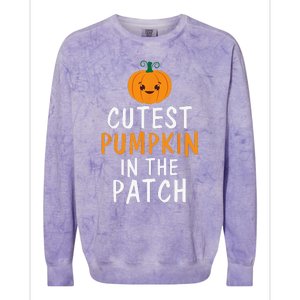 Cutest Pumpkin In The Patch Fun Halloween Gift Colorblast Crewneck Sweatshirt